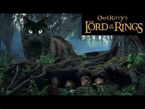 Lord of the Rings with OwlKitty : r/lotrmemes