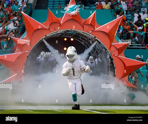 Miami dolphins mascot hi-res stock photography and images - Alamy