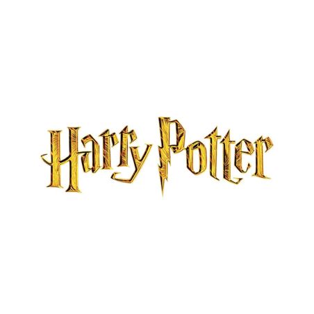 Harry Potter Font Generator - FREE Download - FontBolt