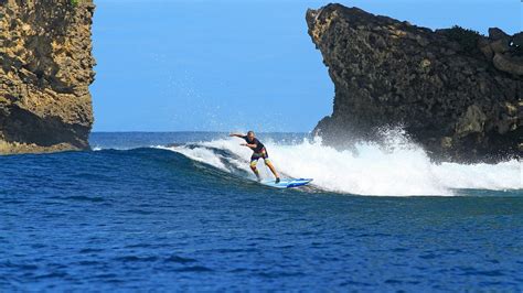 Telo Island Lodge Surf Report | Pegasus Lodges