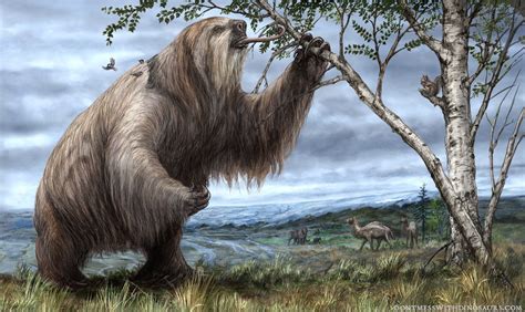 Giant Ground Sloth- Brian Engh #prehistoriccreatures | Prehistoric animals, Prehistoric ...