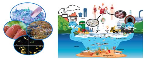 Microplastics Stick Around in Human Airways - AIP Publishing LLC