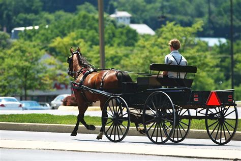 Amish | Definition, History, Beliefs, Education, Children, Lifestyle, & Facts | Britannica