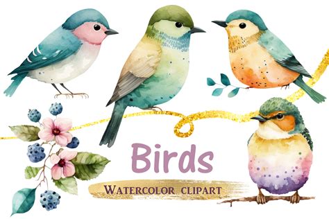 Birds - Free Watercolor Birds Clipart Graphic by Magiclily · Creative ...