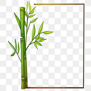 Bamboo Border PNG Transparent Images Free Download | Vector Files | Pngtree