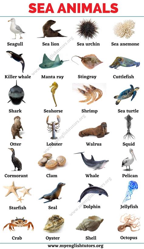 List of Animals: An Ultimate List of Animal Names in English - My ...