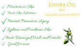 Using Jojoba Oil For Acne Treatment