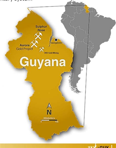 Overview — Guyana OKO Mining INC.