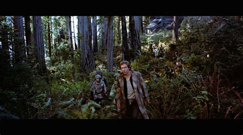 Endor | StarWars.com