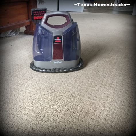 Homemade Carpet Cleaner For Pet Stains | ~ Texas Homesteader