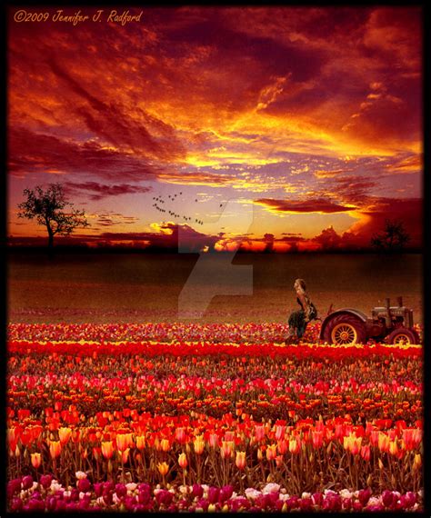 Sunset in the Tulip Field by Jenna-Rose on DeviantArt