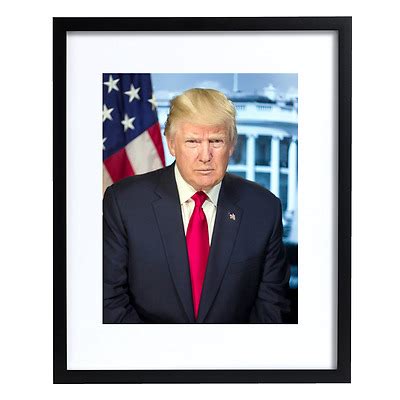 PRESIDENT DONALD J. TRUMP'S "OFFICIAL" WHITE HOUSE PORTRAIT. | eBay