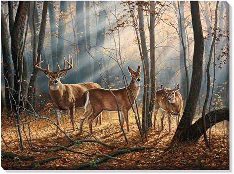 Woodland Splendor Whitetail Deer Wrapped Canvas Giclee Print Wall Art - Wall Decor - Wild Wings