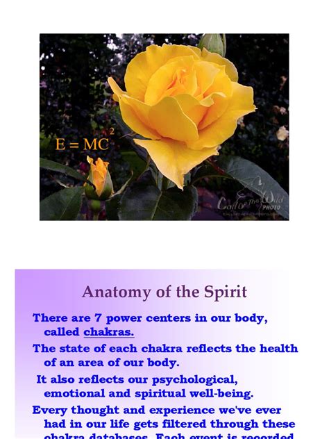 (PDF) AnatomyoftheSpirit Chakras - DOKUMEN.TIPS