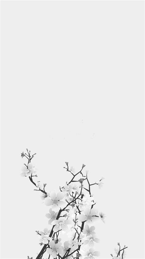 Black and White Aesthetic Flower Wallpapers - Top Free Black and White ...