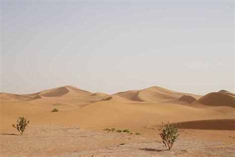 Landscapes of Sahara - Desert Candles