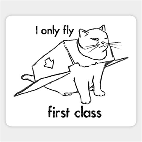 Funny Cat Drawing, First Class Kitty, Cat in Box - Funny Cats - Sticker | TeePublic