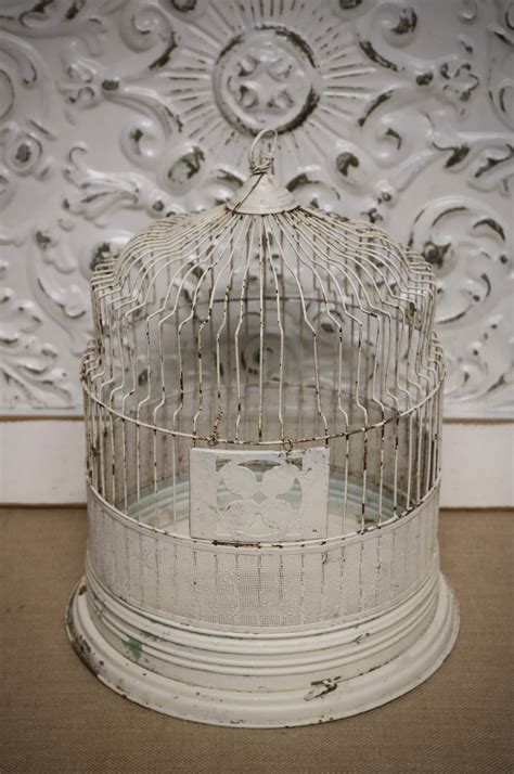 White Rustic Bird Cage — OCCASIONS AND STEMS