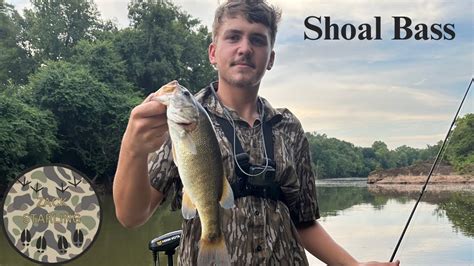 NEW PB? Shoal Bass Fishing on the River – Bass Manager | The Best Bass Fishing Page On The Internet