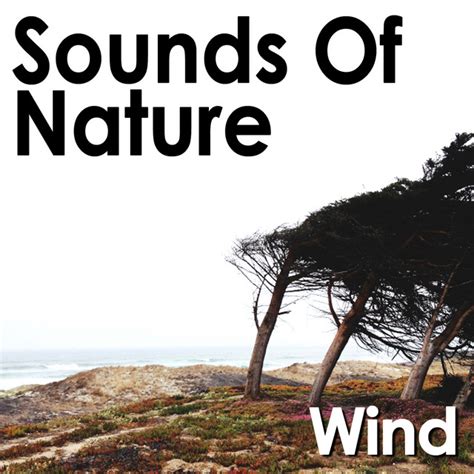 Sounds of Nature: Wind - Album by Pro Sound Effects Library | Spotify