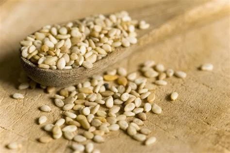 Health benefits of acha grain for our body - Legit.ng