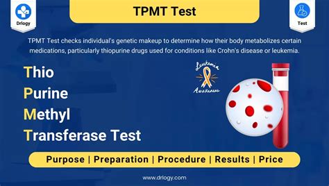 Genetic Makeup Test | Saubhaya Makeup