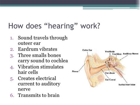 Hearing aids