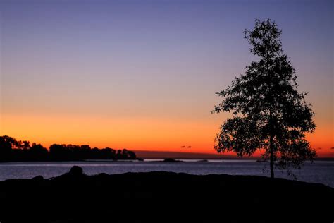 Silhouette Photo of a Tree During Sunset · Free Stock Photo