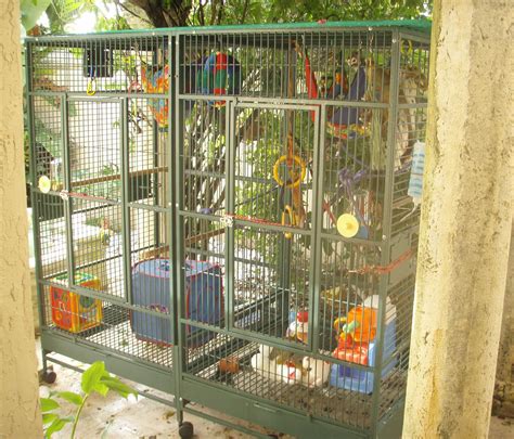 Monkey cage, pet capuchin monkey enclosure, primate care, enrichment, spider monkey toys