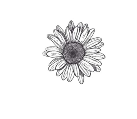 Resultado de imagem para flower doodle transparent background | Small ...