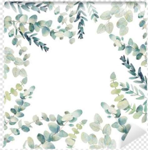 Eucalyptus - Free Icon Library