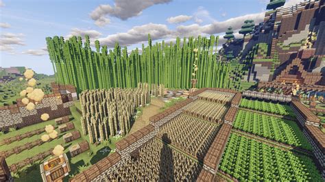 How do you get bamboo jungle biome in Minecraft? - Rankiing Wiki : Facts, Films, Séries, Animes ...