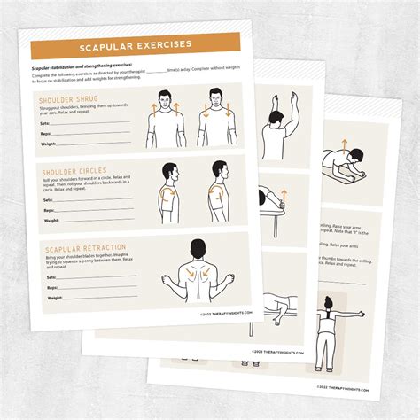 Exercises For Scapular Control Psoaspain Scapula Exercises Shoulder ...