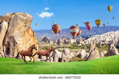 194 Animals Sky Baloon Images, Stock Photos, 3D objects, & Vectors | Shutterstock