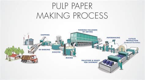 How paper is made