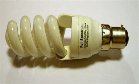 Energy Saver Light Bulb | A daylight spectrum Energy-Saver l… | Flickr