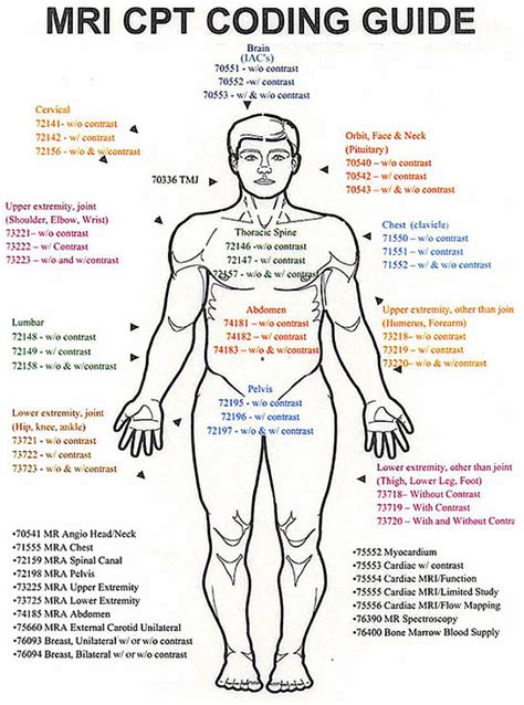 MRI CPT Coding Guide - medicalkidunya