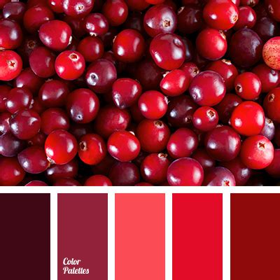 monochrome and red color palette | Color Palette Ideas