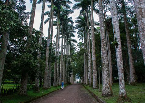 Aburi Botanical Gardens