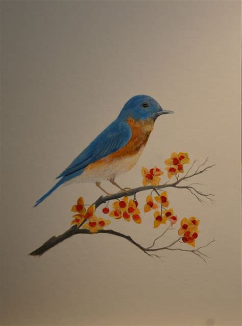 Painting An Eastern Bluebird In Acrylic (3)