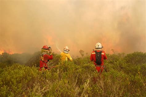 Incendio forestal en Amazonas: expertos del Indeci capacitan a gobierno ...