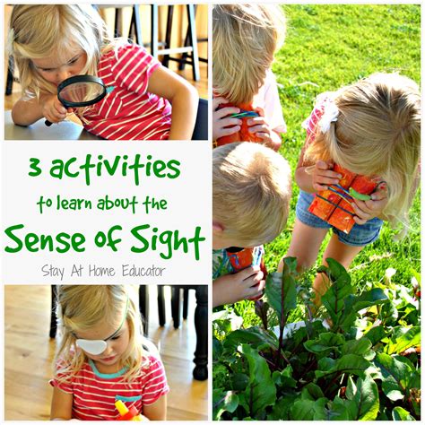 Sense Of Sight Activities For Preschoolers