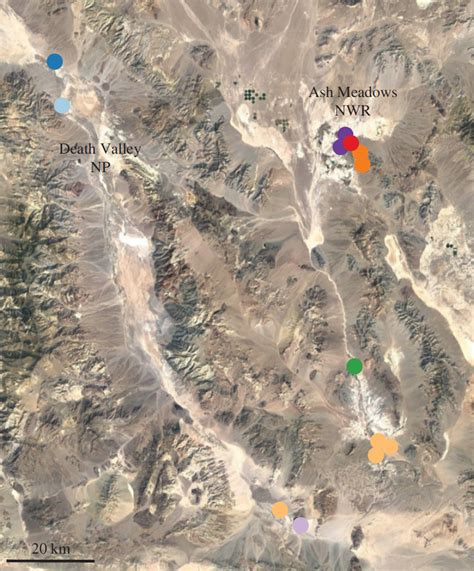 Endangered Devils Hole Pupfish Is One of the Most Inbred Animals Known | Research UC Berkeley