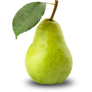 Pear PNG, Pear Transparent Background - FreeIconsPNG