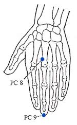 Pericardium Meridian - Protector of the Heart