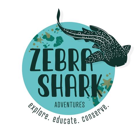 Zebra Shark Adventures
