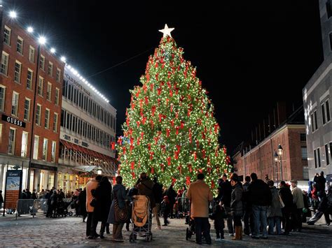 Where to find 12 of NYC’s festive Christmas trees - Curbed NY