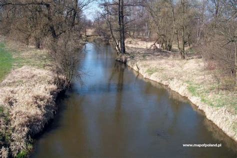 Warta River in Korwinow - Photo 14/16