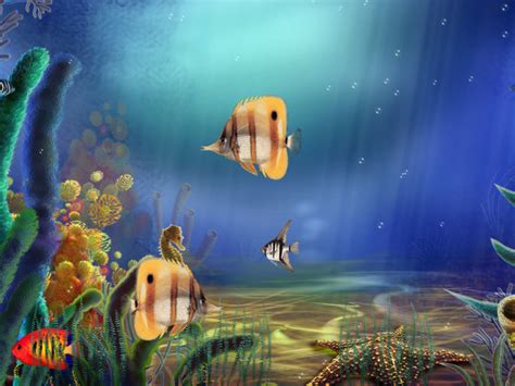 Animated Aquarium Screensaver for Windows - Animated Aquarium Screensaver