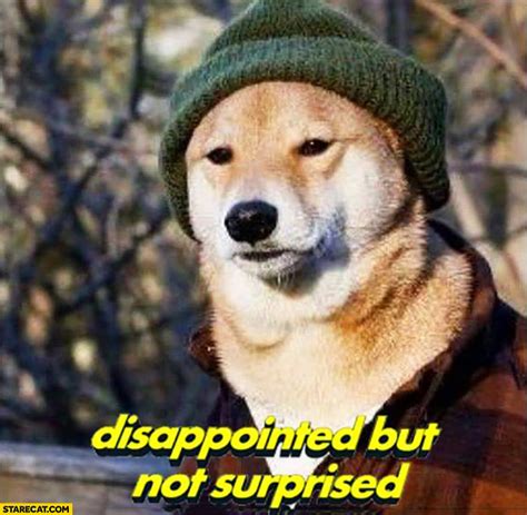 Disappointed but not suprised doge meme | StareCat.com